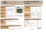 1624966913FT+NF+langue+de+porc+en+salade+2.jpg